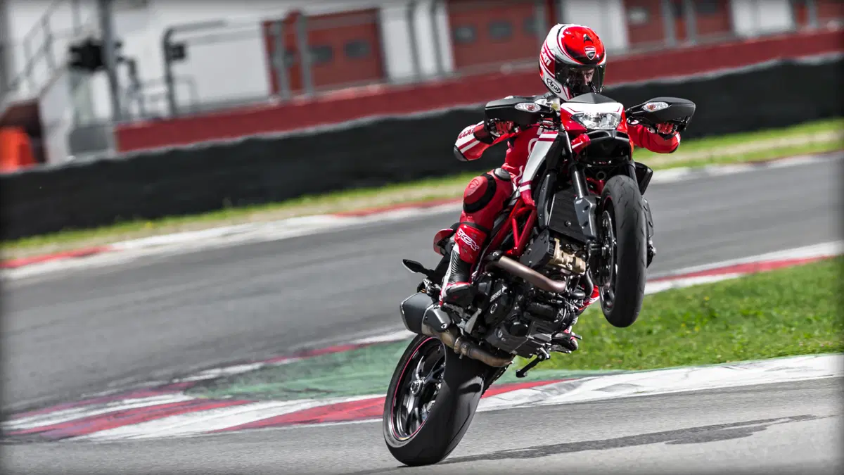 Ducati Hypermotard 821 Hypermotard 821 SP (2013 - 15) (10)