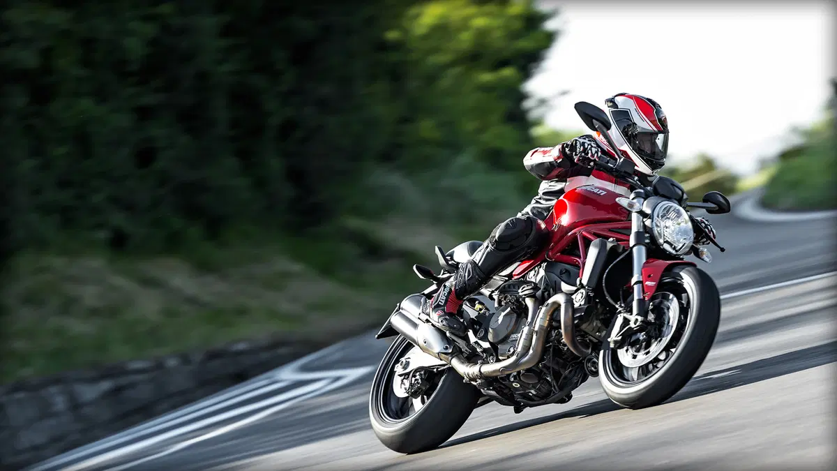 Ducati Monster 821 Monster 821 ABS (2014 - 17) (9)