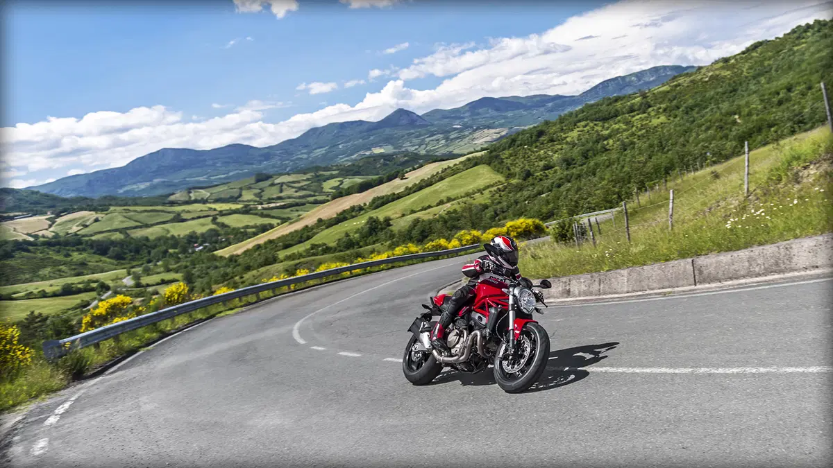 Ducati Monster 821 Monster 821 ABS (2014 - 17) (10)