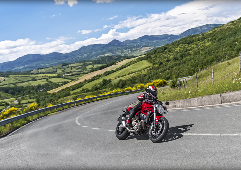 Ducati Monster 821 Monster 821 ABS (2014 - 17) (10)