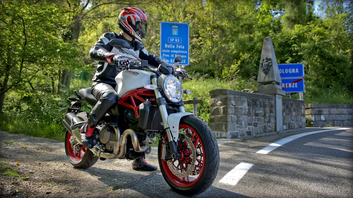 Ducati Monster 821 Monster 821 ABS (2014 - 17) (11)