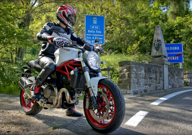 Ducati Monster 821 Monster 821 ABS (2014 - 17) (11)