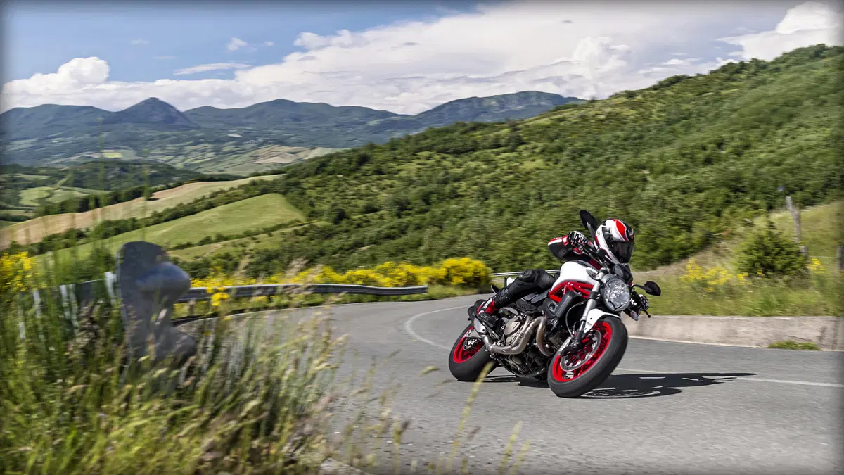 Ducati Monster 821 Monster 821 ABS (2014 - 17) (12)