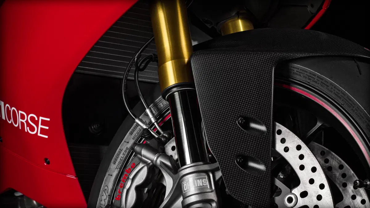 Ducati 1199 Panigale 1199 Panigale R ABS (2013 - 17) (2)
