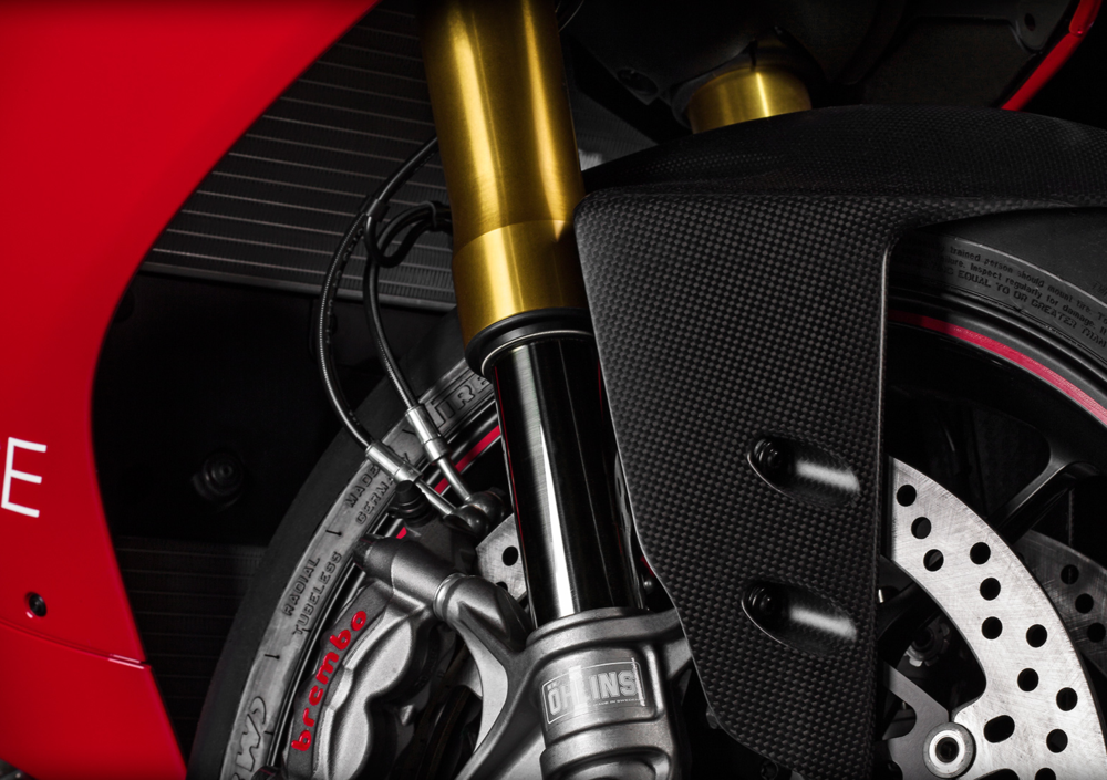 Ducati 1199 Panigale R ABS (2013 - 17) (2)