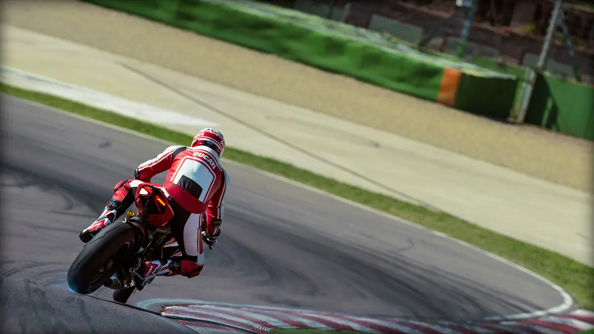 Ducati 1299 Panigale 1299 Panigale S (2015 - 18) (5)