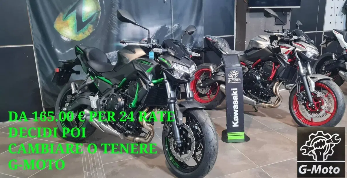 Kawasaki Z 650 (2021 - 24)