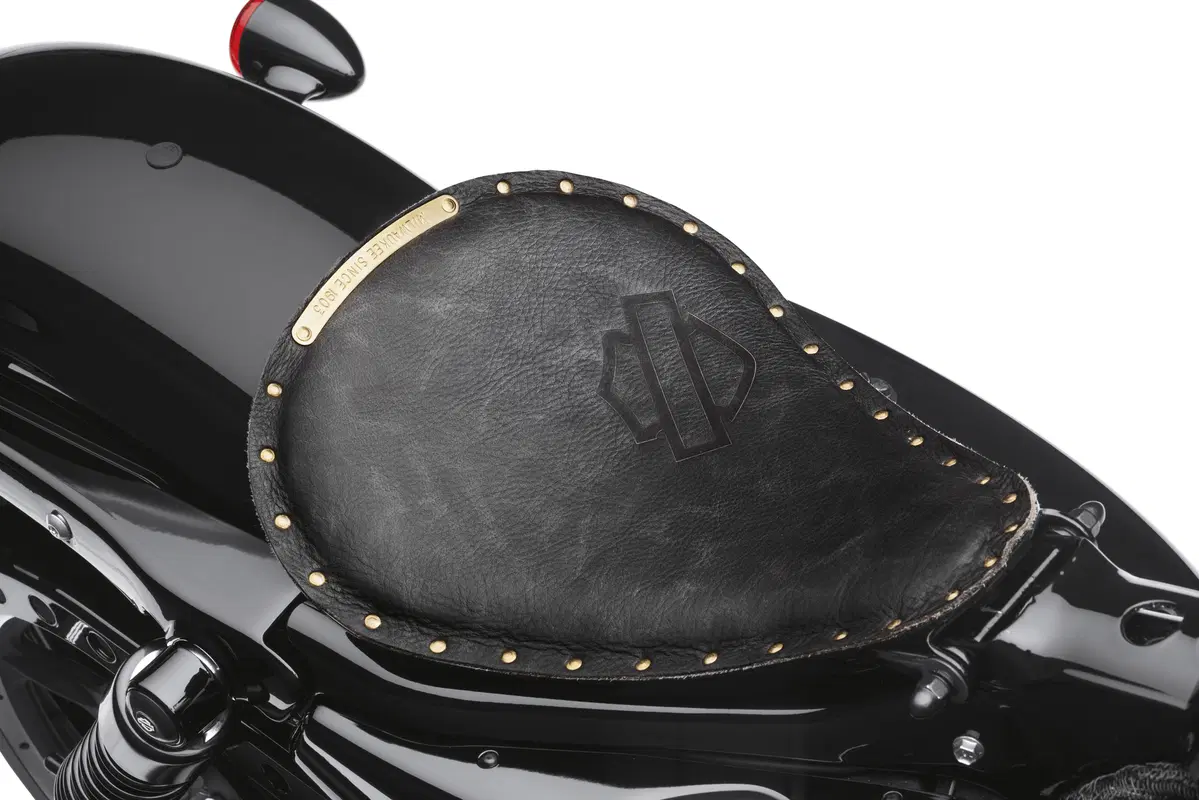 Harley-Davidson: novità dal catalogo accessori 2015 (9)