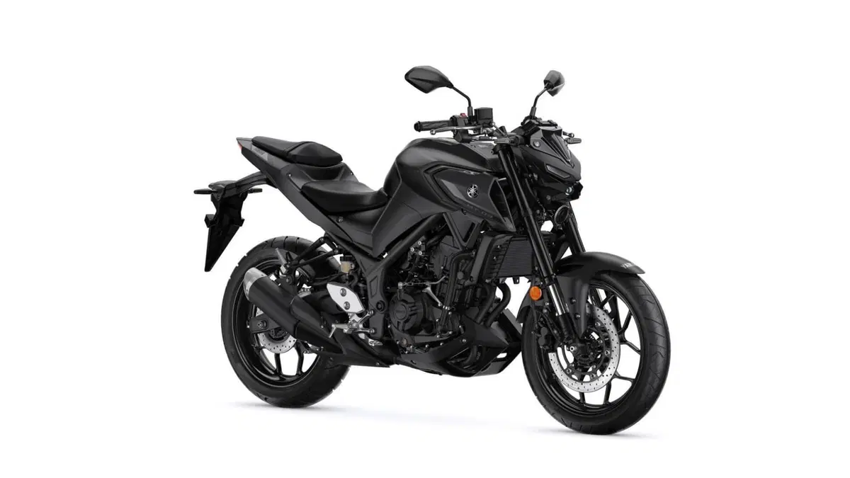Yamaha MT-03 (2022 - 24) (10)