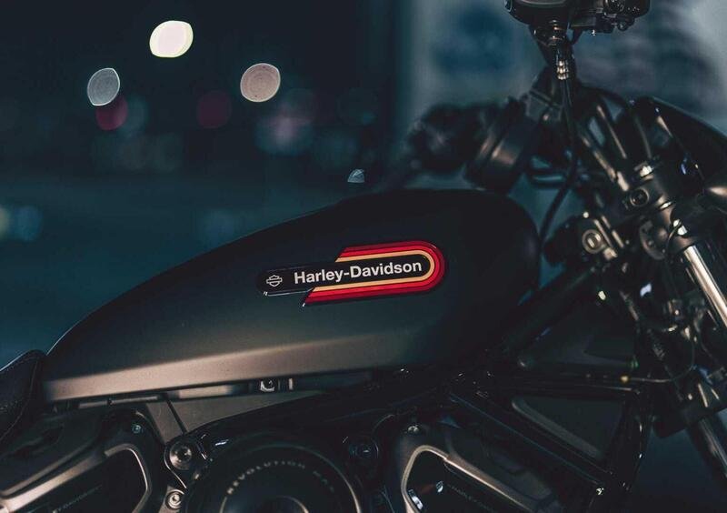 Harley-Davidson Sportster Nightster Special (2023 - 24) (4)