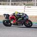 SBK 2023. Test di Jerez: Toprak Razgatlioglu chiude in testa il Day 1 [VIDEO e GALLERY]