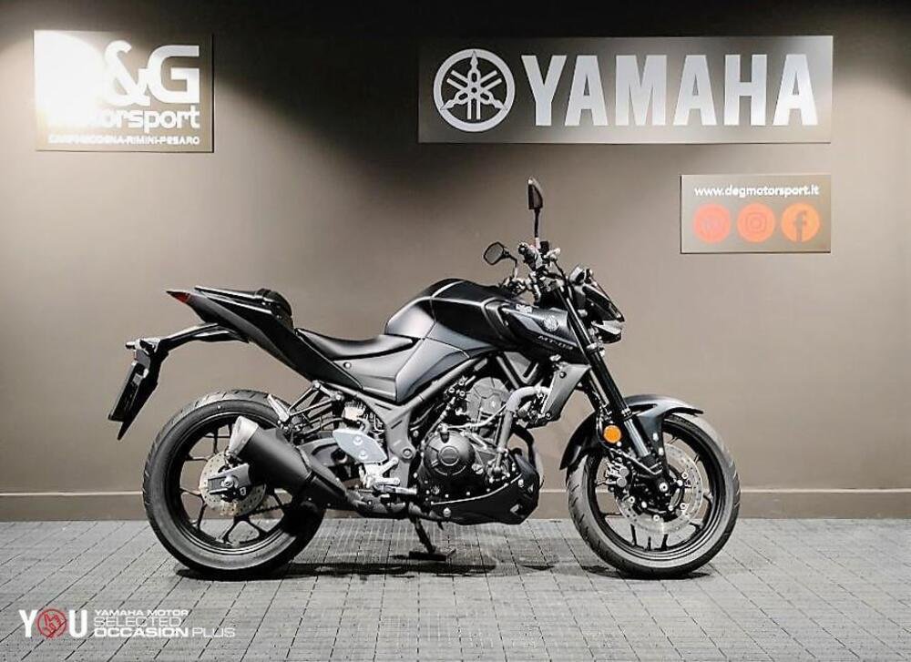 Yamaha MT-03 (2022 - 24) (5)