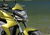 Honda CB 1000 R ABS (2011 - 17) (10)