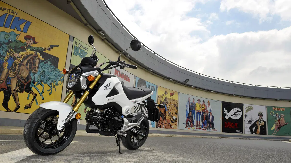 Honda MSX 125 MSX 125 (2013 - 15) (2)