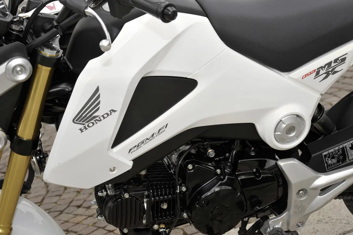 Honda MSX 125 MSX 125 (2013 - 15) (12)