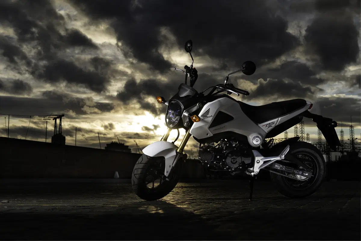 Honda MSX 125 MSX 125 (2013 - 15) (15)