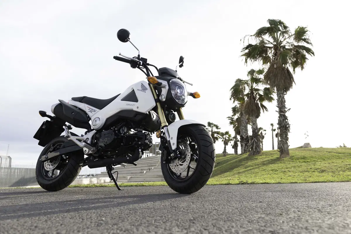 Honda MSX 125 MSX 125 (2013 - 15) (16)