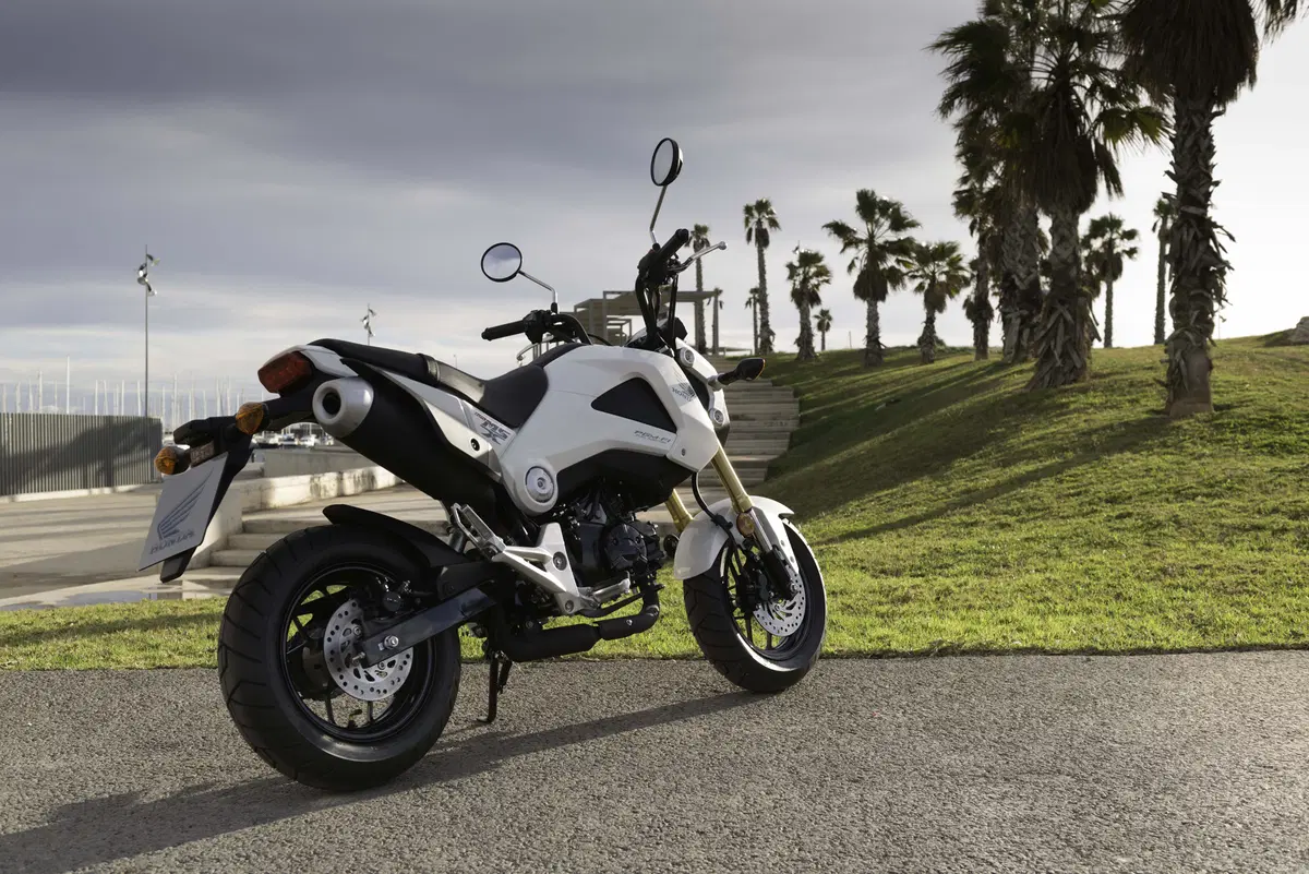 Honda MSX 125 MSX 125 (2013 - 15) (17)