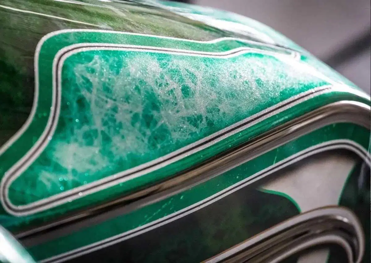 Più che un sidecar, un affare di famiglia! Vorreste acquistare questo Heritage Green Low Sidecar? (9)