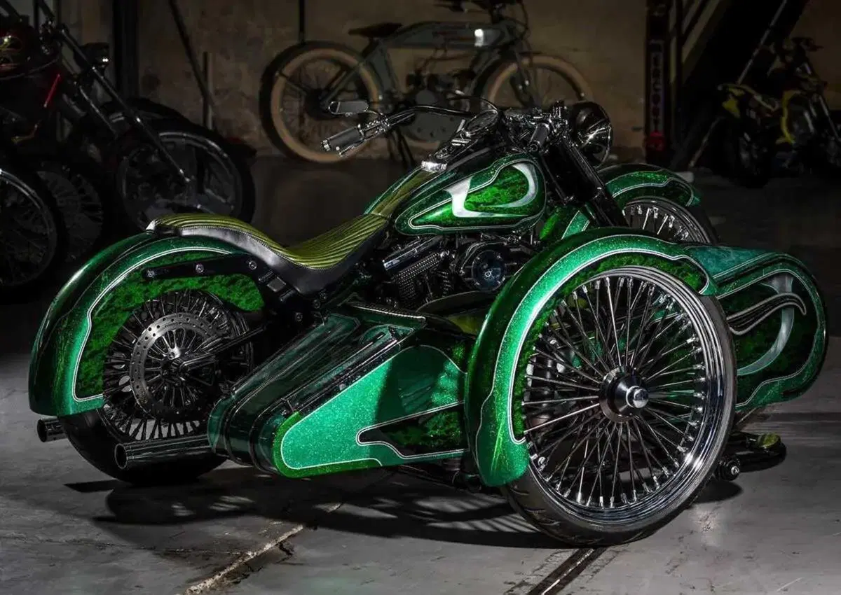 Più che un sidecar, un affare di famiglia! Vorreste acquistare questo Heritage Green Low Sidecar? (5)