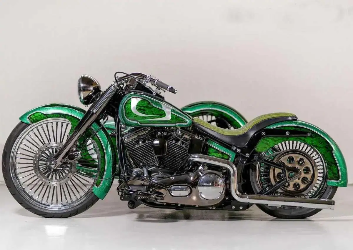 Più che un sidecar, un affare di famiglia! Vorreste acquistare questo Heritage Green Low Sidecar? (6)