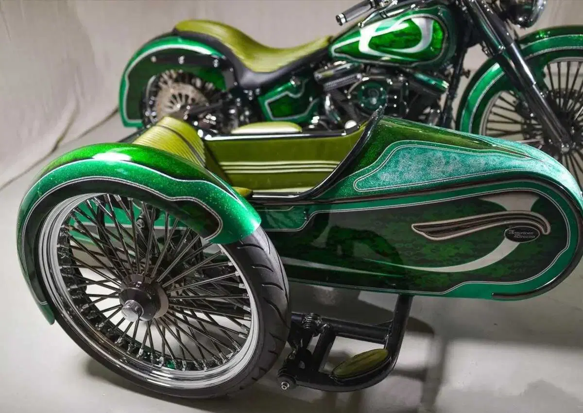 Più che un sidecar, un affare di famiglia! Vorreste acquistare questo Heritage Green Low Sidecar? (8)
