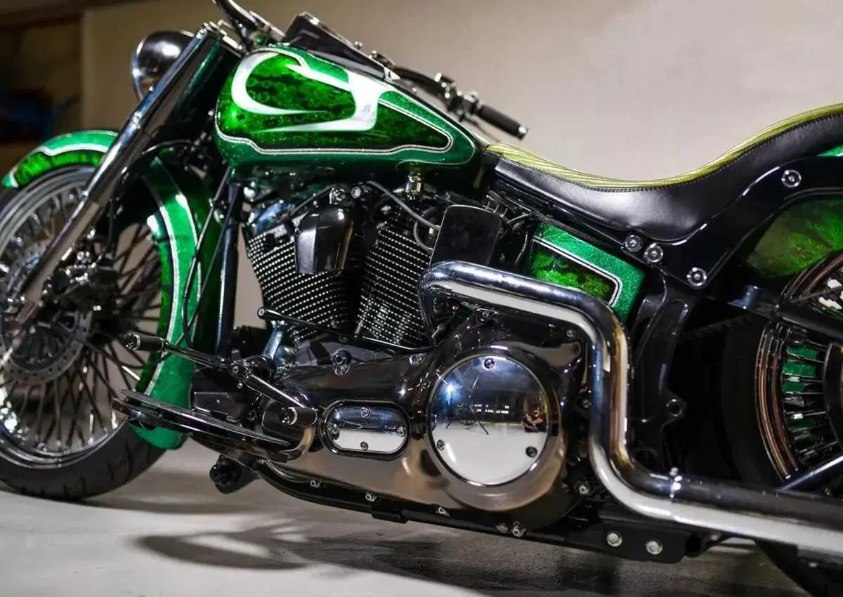 Più che un sidecar, un affare di famiglia! Vorreste acquistare questo Heritage Green Low Sidecar? (7)