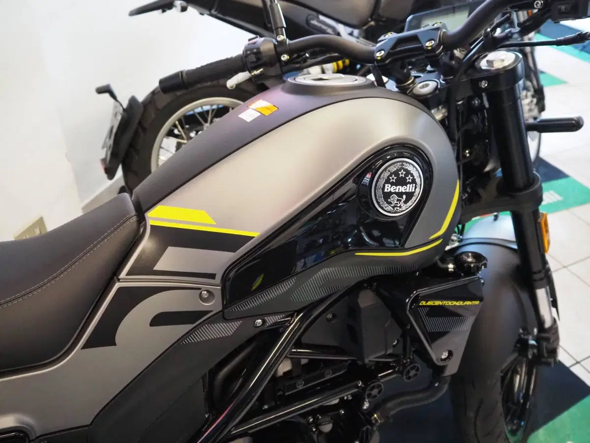 Benelli Leoncino 250 (2021 - 25) (6)