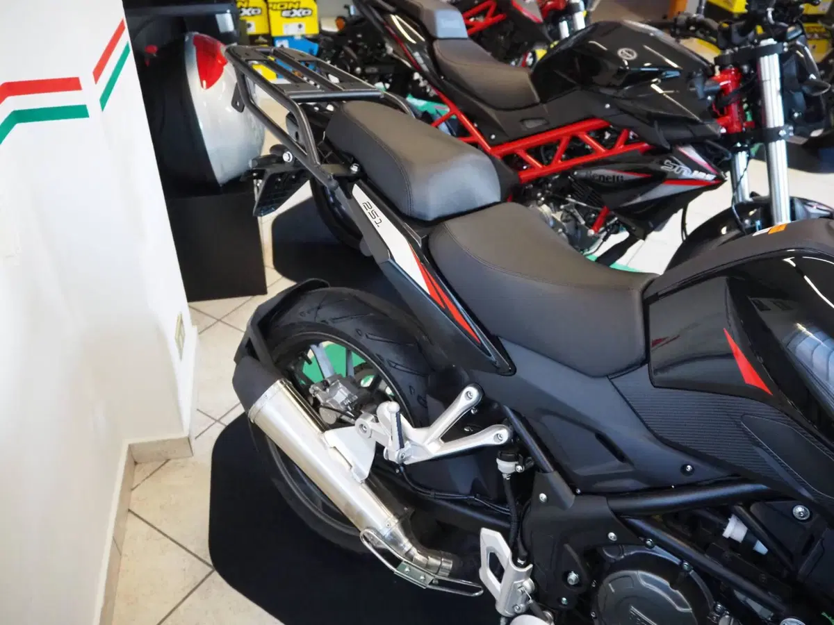 Benelli TRK 251 (2022 - 25) (5)