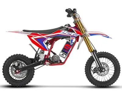 Betamotor Minicross-Electric Li-Ion (2019 - 26) nuova
