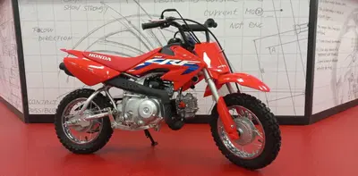 Honda CRF 50F (2023 - 26) nuova