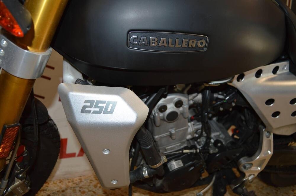 Fantic Motor Caballero 250 Scrambler 4t (2018 - 21) (5)