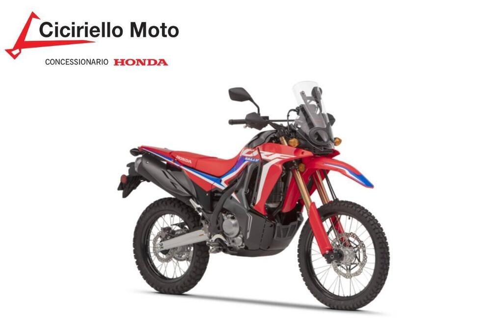 Honda CRF 300 Rally (2021 - 24)