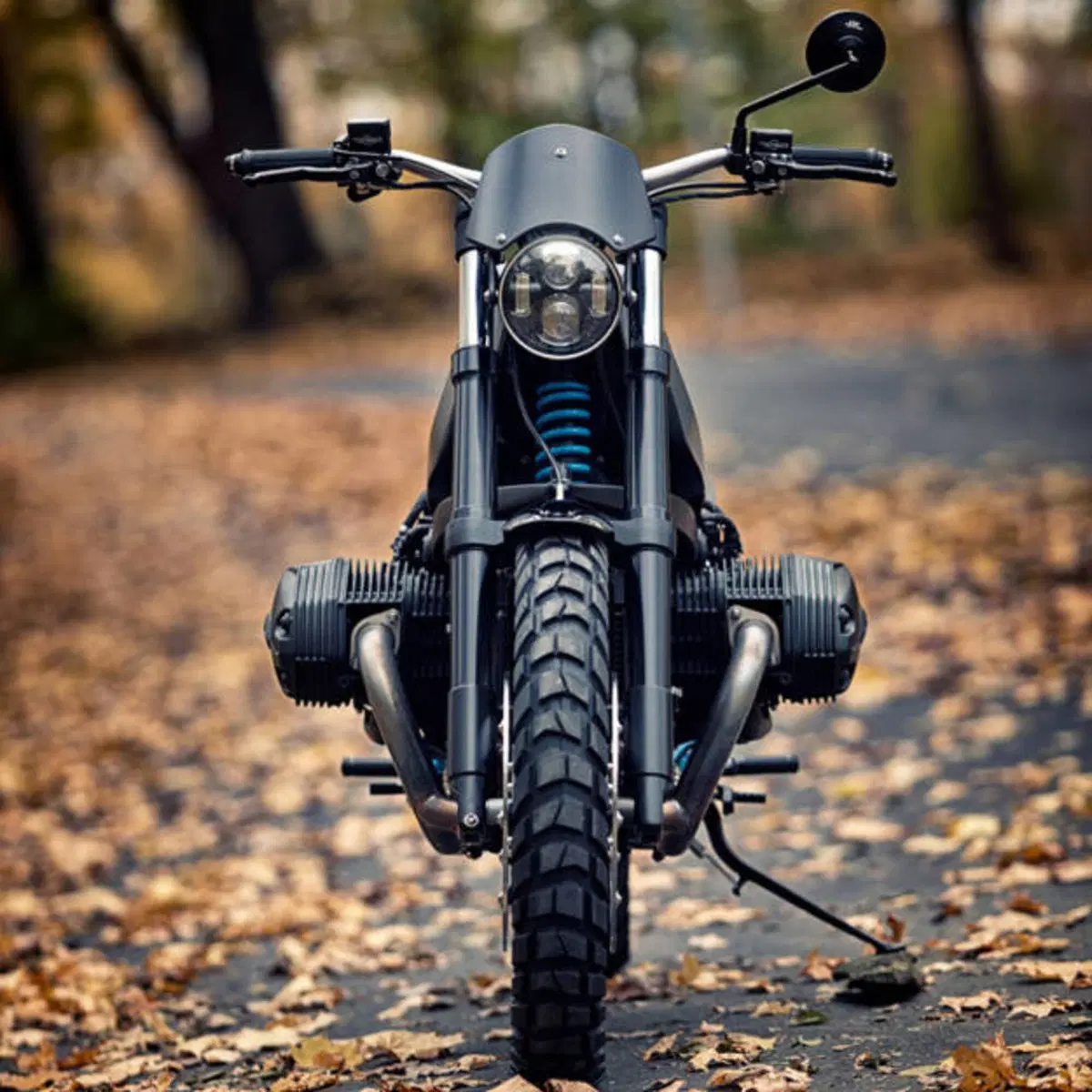Renard BMW R1200S Scrambler (6)