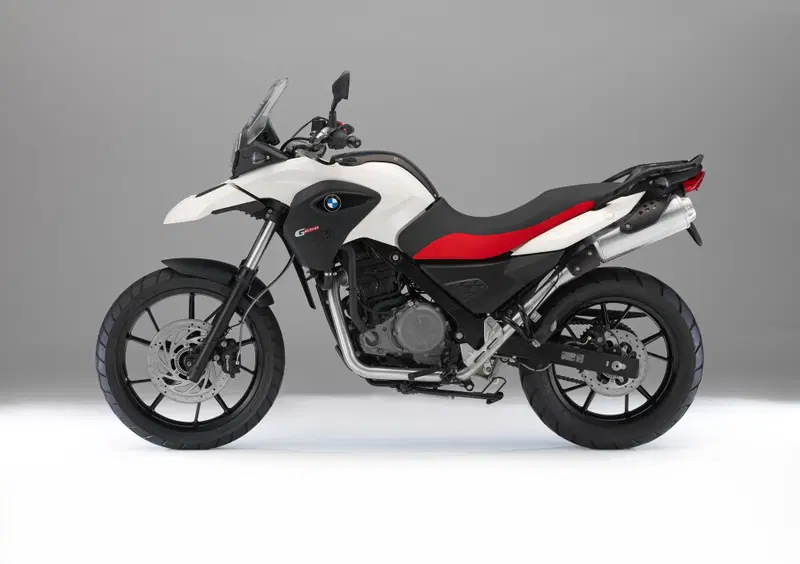 Bmw G 650 GS G 650 GS (2010 - 16) (9)