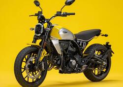 Ducati Scrambler 800 Icon (2023 - 24) nuova