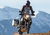 Bmw F 800 GS Adventure (2013 - 17) (8)