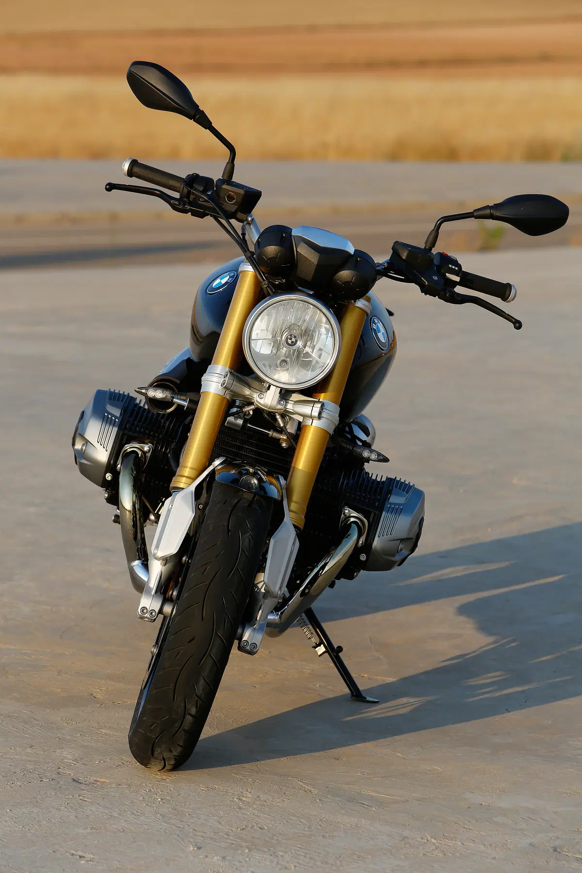 Bmw R nineT R nineT 1200 (2014 - 16) (10)