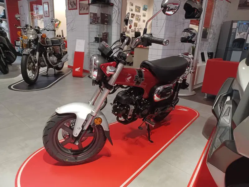 Honda Dax 125 (2023 - 24)
