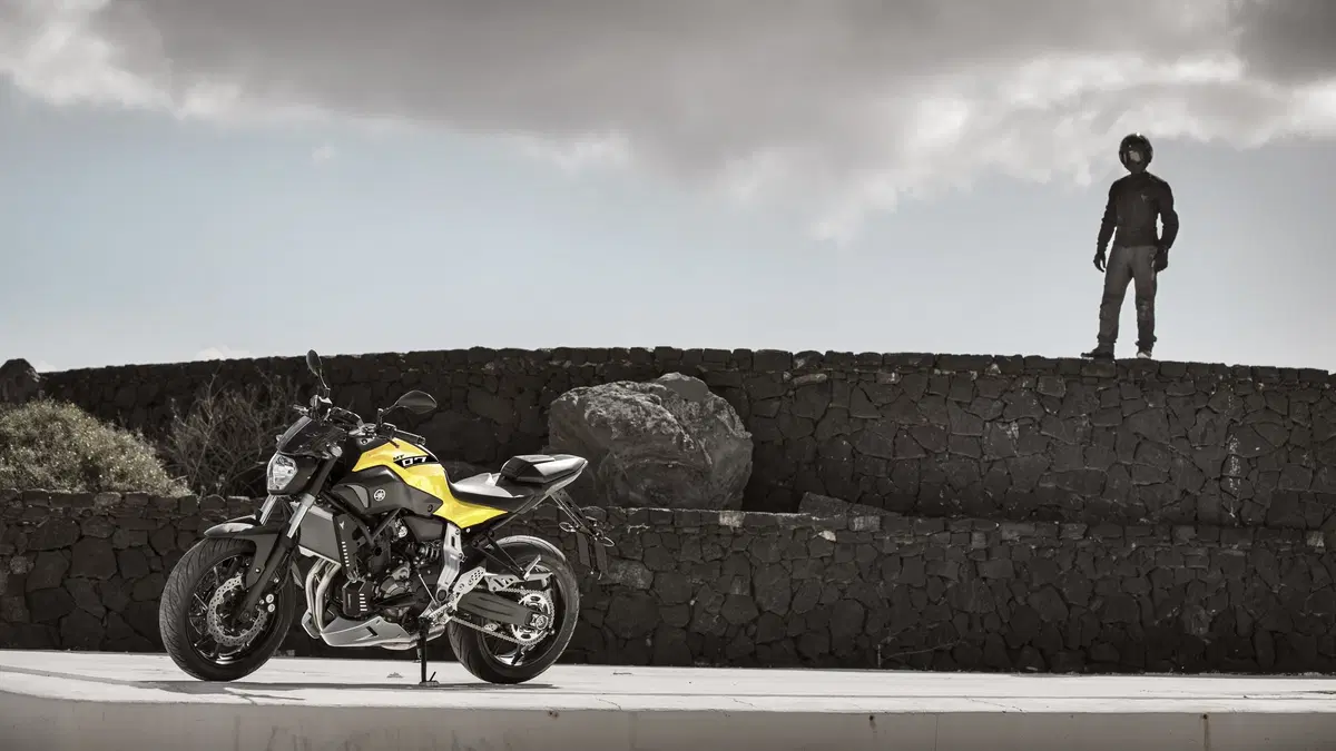 Yamaha MT-07 MT-07 ABS (2014 - 16) (19)