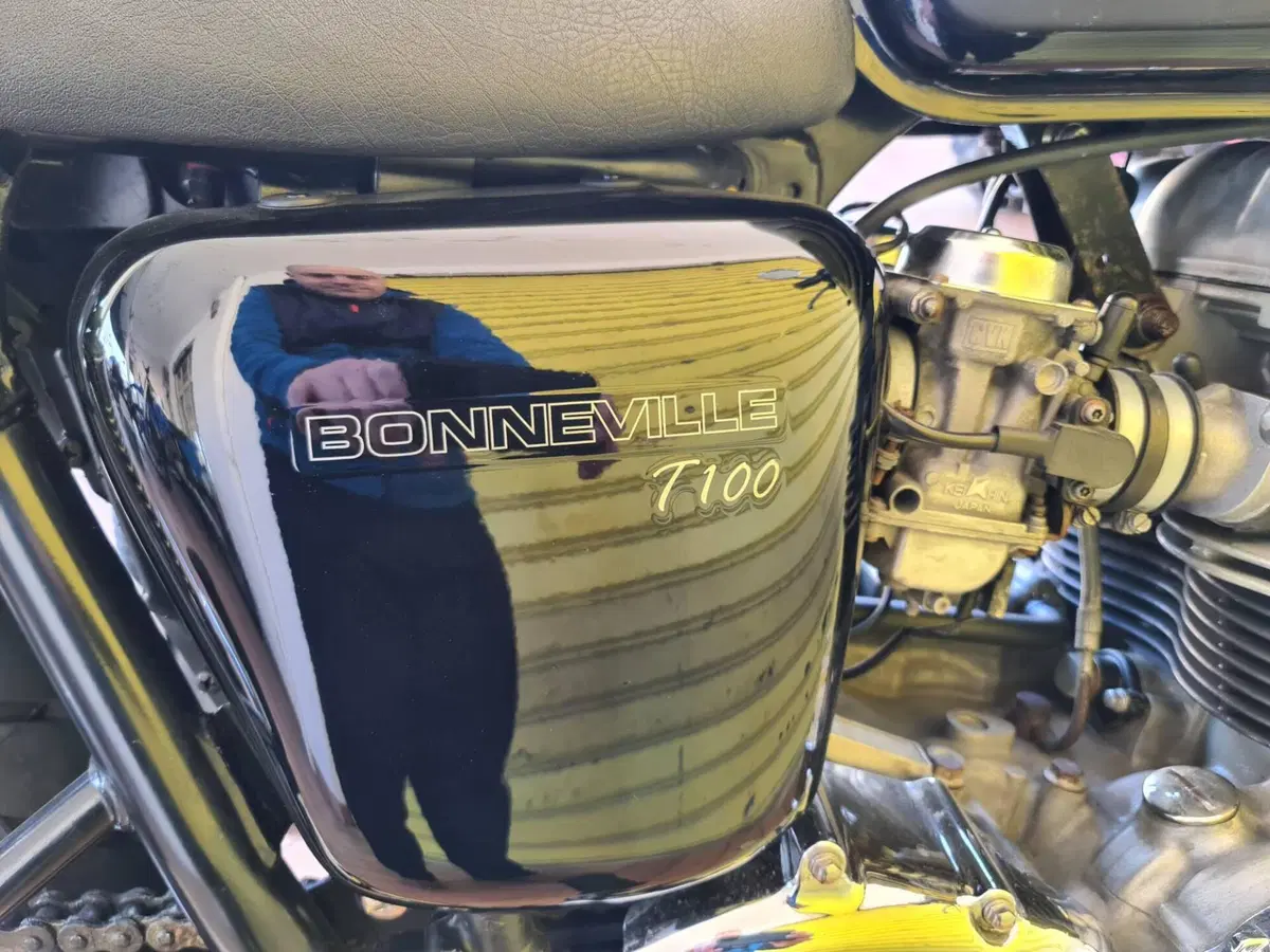 Triumph Bonneville T100 (2001 - 07) (9)