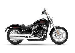 Harley-Davidson Softail Standard (2021 - 24) nuova