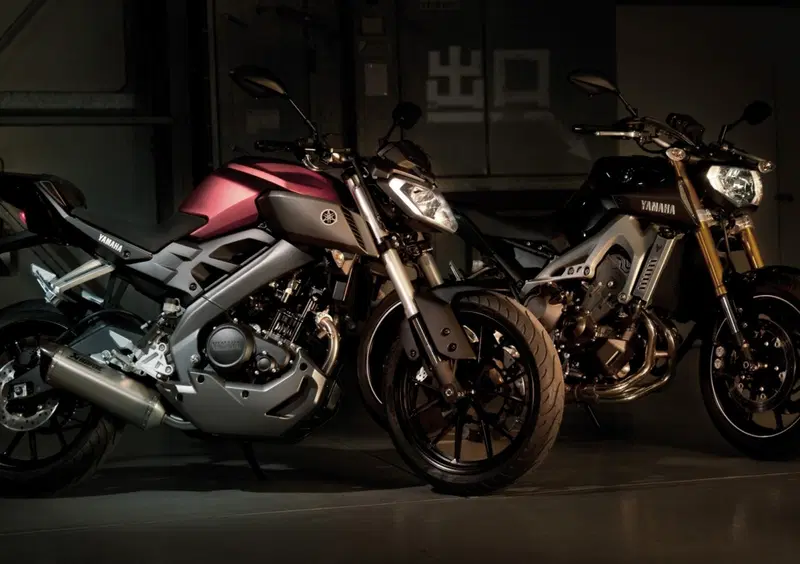 Yamaha MT-125 MT-125 (2014 - 16) (9)