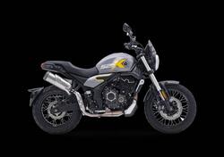 Voge Trofeo 525ACX Scrambler (2023 - 24) nuova