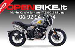 Voge Trofeo 525ACX Scrambler (2023 - 24) nuova