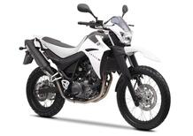 Yamaha XT 660 R (2004 - 16)