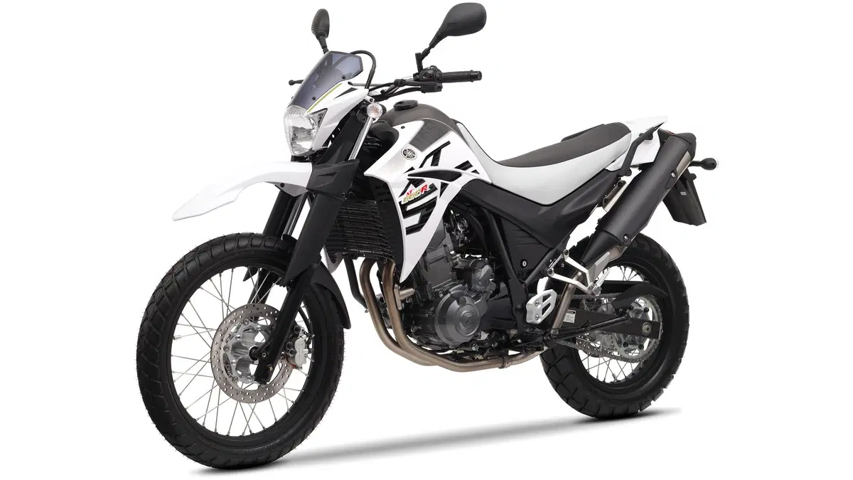 Yamaha XT 660 XT 660 R (2004 - 16) (10)