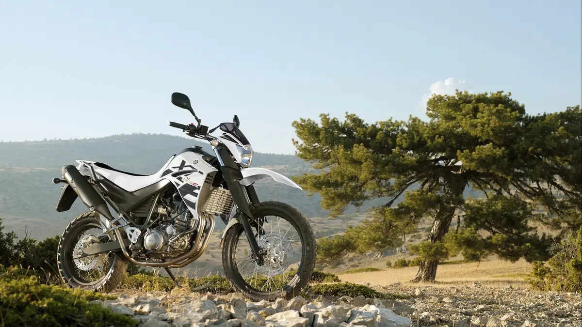 Yamaha XT 660 XT 660 R (2004 - 16) (14)