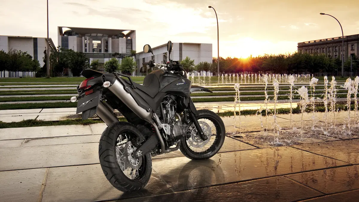 Yamaha XT 660 XT 660 X (2004 - 16) (10)