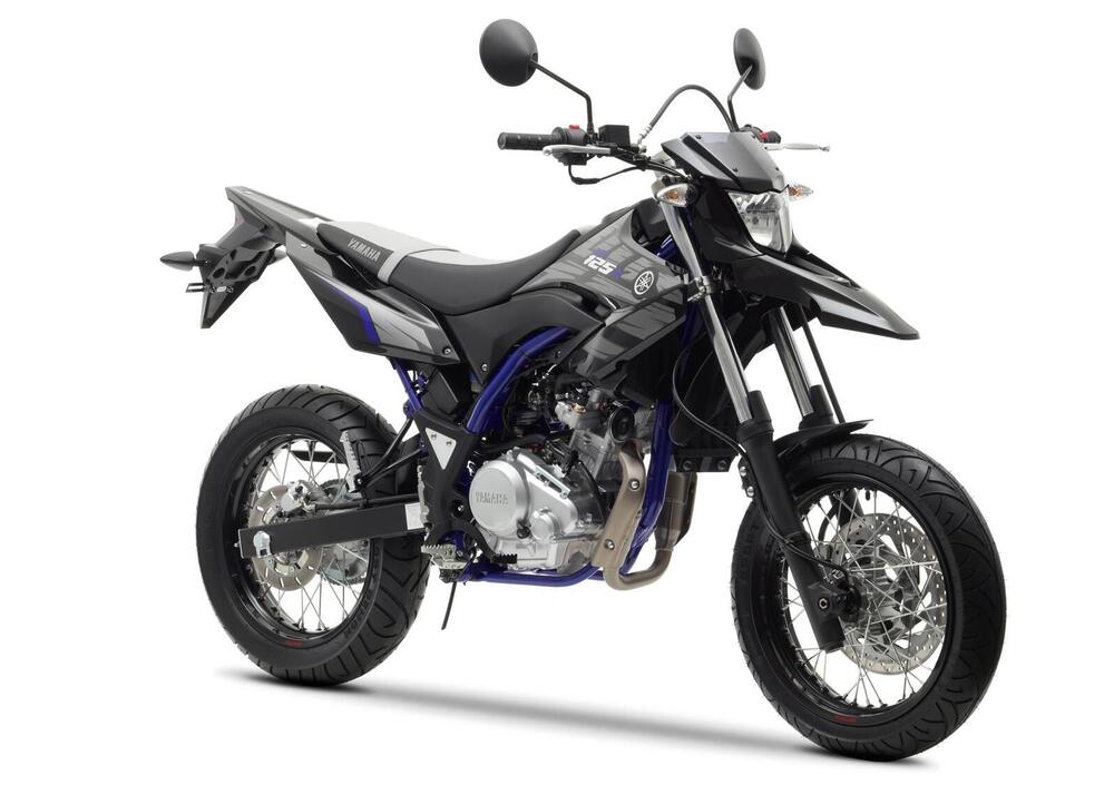 Yamaha WR 125 X (2009 - 16) (5)